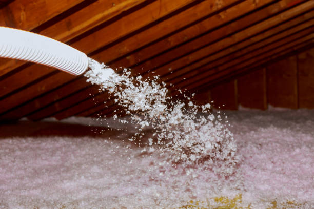 Types of Insulation We Offer in Hilton, NY